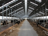 Строительство молочной фермы в Гусевском районе - фото 3